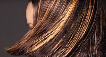 Nibh euismod tincidunt