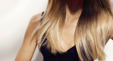 Nibh euismod tincidunt